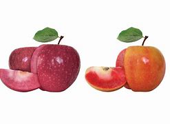 Image result for French Red Flesh Apple