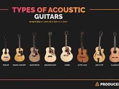 Image result for Acoustic Guitar Types