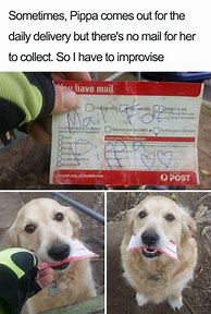 Image result for Wholesome Meme Dog Passing