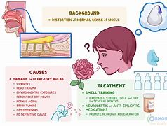 Image result for hyposmia