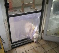 Image result for DIY Double Screen Door Dog