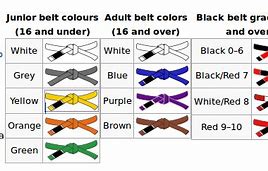 Image result for How to Measure Your Belt Size