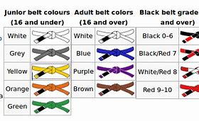 Image result for Martial Art Belts Silhouette