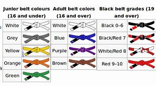 Image result for Martial Arts Kids Belt