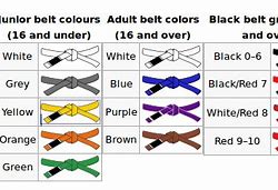 Image result for Men's Western Belts