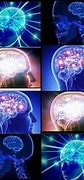 Image result for Old Brain Meme