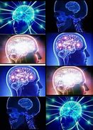 Image result for Memes About the Brain and Knowledge