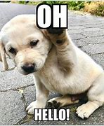 Image result for Hello Message Meme