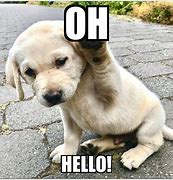 Image result for Hilarious Hello Meme
