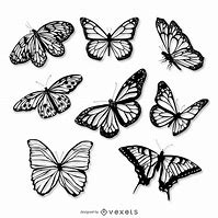 Image result for Black and White Butterfly Design Vector