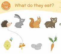 Image result for What Animals Eat for Kids