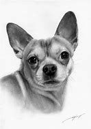 Image result for Distorted Chihuahua Meme