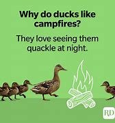Image result for Duck Jokes Meme