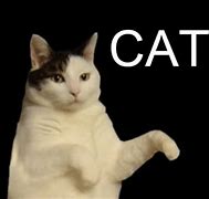Image result for Animated Crazy Dance Meme