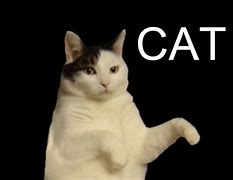 Image result for Battle Cats Memes YouTube