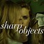 Image result for No Sharp Objects