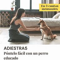 Image result for adiestra5