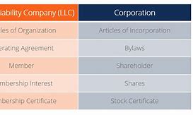 Image result for LLC Company Differences