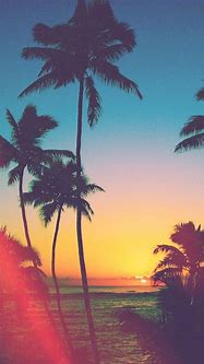 Image result for Summer Mobile Phone Wallpaper