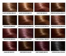 Image result for Cool Black Hair Color