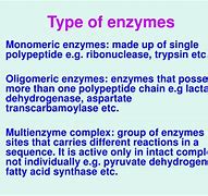 Image result for Monomer Enzymes Examples