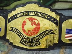 Image result for NWA US Belt