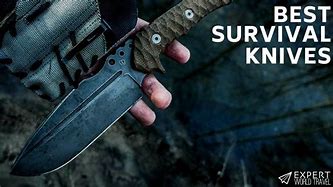 Image result for Best Knife for Survival