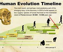 Image result for Human Evolution Timeline Simple with Pictures