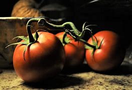 Image result for Tomato Still Life Photography