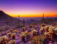 Image result for Arizona Nature Trail