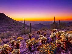 Image result for Arizona Nature Photography