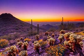 Image result for Arizona Desert Mountains