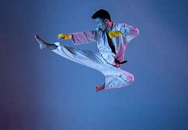 Image result for Martial Arts Forms