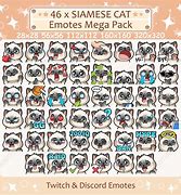 Image result for Siamese Cat Emotes
