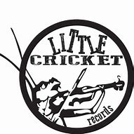 Image result for Local Kid Cricket