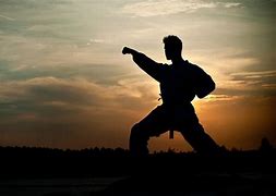 Image result for Martial Arts Background