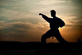 Image result for Martial Arts Background Images