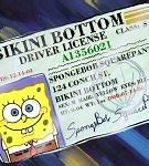 Image result for Spongebob Yep License Meme
