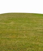 Image result for Hill Grass Texture