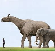 Image result for Largest Land Animal On Earth