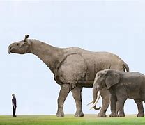 Image result for What Is the Biggest Land Animal in the World