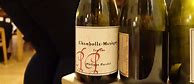 Image result for Philippe Pacalet Chambolle Musigny