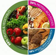 Image result for A Balanced Diet Plate
