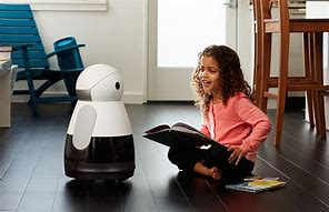 Image result for Domestic or Household Robots