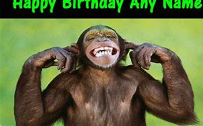 Image result for Red Head Monkey Birthday