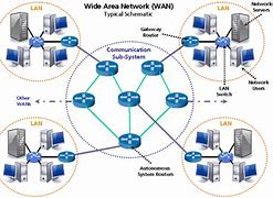 Image result for Wild Area Network