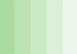 Image result for Pastel Green On White