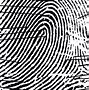 Image result for 6 Types of Fingerprint
