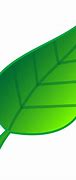 Image result for Green Leaves Cartoon