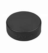 Image result for Hockey Puck